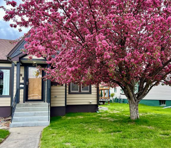 Black Diamond Bungalow - Image 4